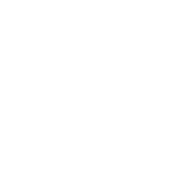 abdominals.png