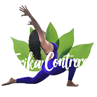 erika contreras mcallen